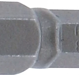 Antgalis | 6,3 mm (1/4) | hex šešiakampis 8 mm (8180)
