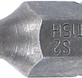 Antgalis | 6,3 mm (1/4) | T-Star su skyle (Torx) T15 (2440)
