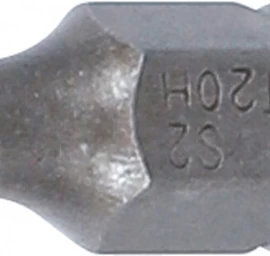 Antgalis | 6,3 mm (1/4) | T-Star su skyle (Torx) T20 (2441)