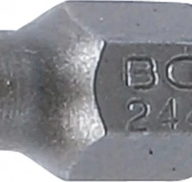 Antgalis | 6.3 mm (1/4) | T-star su skyle (Torx) T25 (2442)