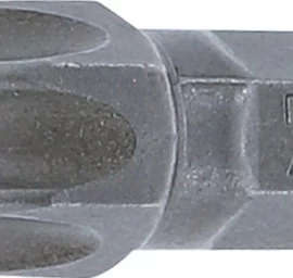 Antgalis | 8 mm (5/16) storio | T-Star su skyle (Torx) T55  (4455)