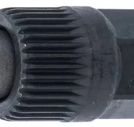 Antgalis generatoriaus remontui | 12,5 mm (1/2)  | T-Star (Torx) T50 | 2 vnt. (4240)