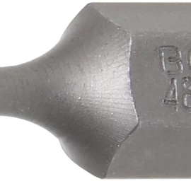 Antgalis | ilgis 30 mm | 10 mm (3/8) storis | T-Star (Torx) T10 (4866)