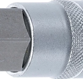 Antgalis įpresuotas į galvutę | 12,5 mm (1/2) | hex šešiakampis 22 mm (5184-H22)