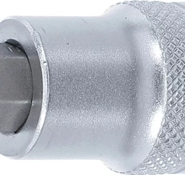 Antgalis įpresuotas į galvutę | 12,5 mm (1/2) | T-Star su skyle (Torx) T55 (4329)