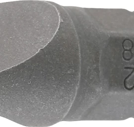 Antgalis plokščias | 6,3 mm (1/4) | Slot SL 8 mm (8183)