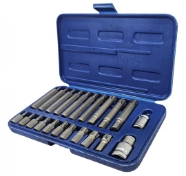 Antgalių rinkinys | 10 mm (3/8) storis | Spline (Ribe) | 22 vnt. (RB21S)