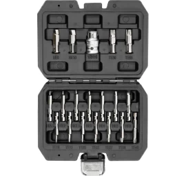 Antgalių rinkinys | sugadintiems T-Star (Torx) ir hex | 19 vnt. (YT-04584)