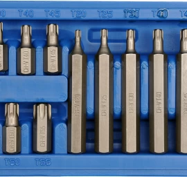 Antgalių rinkinys | T-Star (Torx) | 15 vnt. (66580)