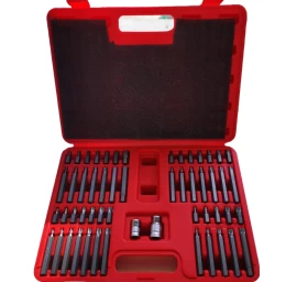 Antgalių rinkinys TORX. TORX SEC. HEX. SPLINE 54vnt.
