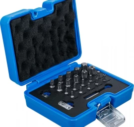 Antgalių rinkinys | TS-Star (Torx Plus) | 23 vnt. (5056)