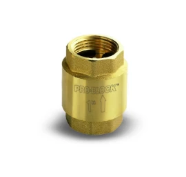 Atbulinis vožtuvas Pedrollo VR1 1Fx1F