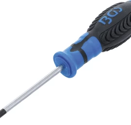 Atsuktuvas | T-Star (Torx) T15 (4918)