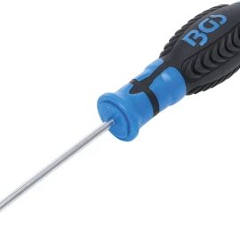 Atsuktuvas | T-Star (Torx) T6 | Ašmenų ilgis 80 mm (4913)