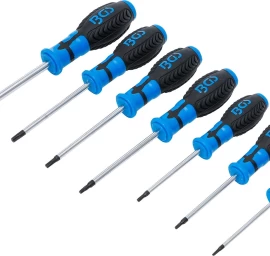 Atsuktuvų rinkinys | T-Star su skyle (Torx) | T10 - T40 | 7 vnt. (7841)