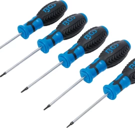Atsuktuvų rinkinys | T-Star su skyle (Torx) | T6 - T10 | 5 vnt. (6826)