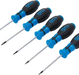 Atsuktuvų rinkinys | T-Star (Torx) | T6 - T10 | 5 vnt. (6828)