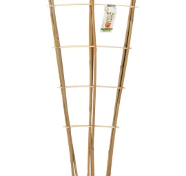 Augalų Atramos Bambukinės Kopėčios 75 Cm 3 Vnt. Progarden