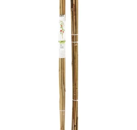 Augalų Atramos Bambuko Stulpas 116 Cm 10 Vnt. Progarden
