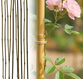 Augalų Atramos Bambuko Stulpas 60 Cm 10 Vnt. Progarden