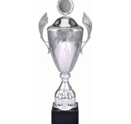 Auksinis Metalinis Puodelis Su Dangteliu 4127/cp