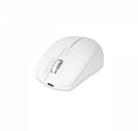 Belaidė Pelė Dicota D32044