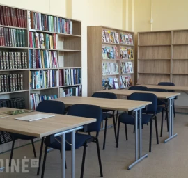 Nestandartinių baldų gamyba, baldų projektavimas