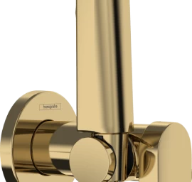 Bidė dušelis Hansgrohe aukso sp. 29232990