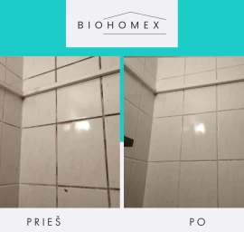 Pelėsio naikinimas „iki galo“