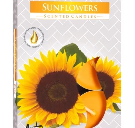 bispol Aura Kvepiantys šildytuvai sunflower, 6 Vnt.