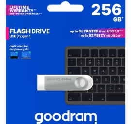 Blykstė Goodram Uno3-2560s0r11 (256 Gb / Sidabrinė)