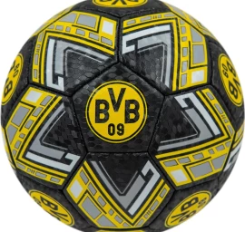 Borussia Dortmund Futbolo R.5