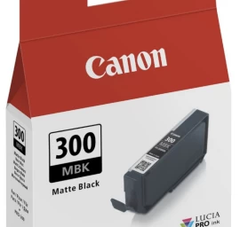 Canon Rašalas 4192c001