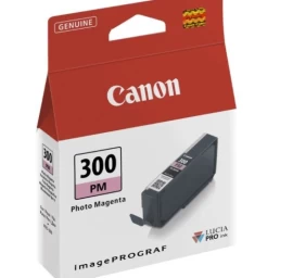 Canon Rašalas 4198c001