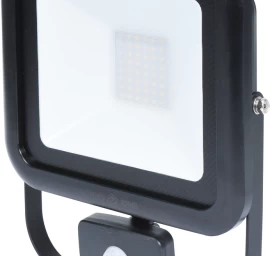 COB LED lempa su judesio davikliu 50W su diodu, 4000LM (82848)