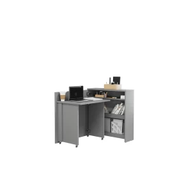 Darbo stalas LN26570