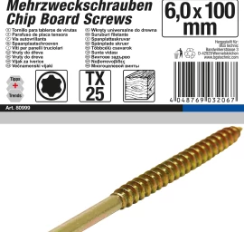 Daugiafunkciniai varžtai | T-Star (Torx) T25 | 6,0 x 100 mm | 20 vnt. (80999)