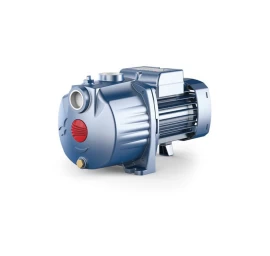 Daugiapakopis siurblys Pedrollo 4CPm 100 220V