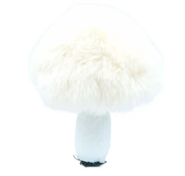 Dekoratyvinis Kaištis 8x12cm Ecru
