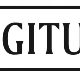 Digitus Montavimo Varžtai M6, Cpl. (4 Vnt.)
