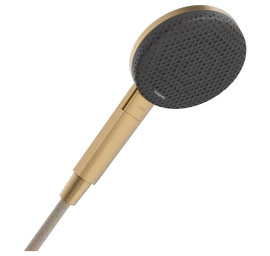 Dušo galvutė Raindance Alive Select S, bronza 24500140