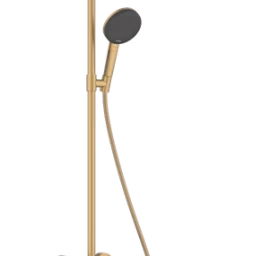 Dušo sistema hansgrohe Raindance Alive S Puro, šlifuota bronza 24592140