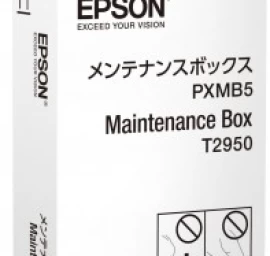 Epson C13t295000