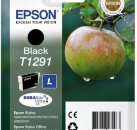 Epson Kasetė T1291 C13t12914011