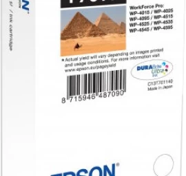 Epson T7011 Juodos Spalvos Kasetė C13t70114010