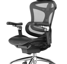 Ergonominis Biuro Fotelis cosmo Angel