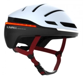 Evo21-l-snw