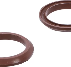 Fluoroelastomero sandarikliai BGS 4067 (4067-1)