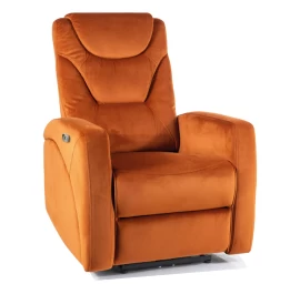Fotelis SG28276