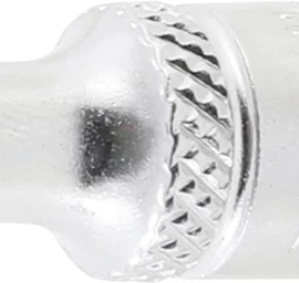 Galvutė daugiafunkcinė | 6,3 mm (1/4) | 4 mm (10104)